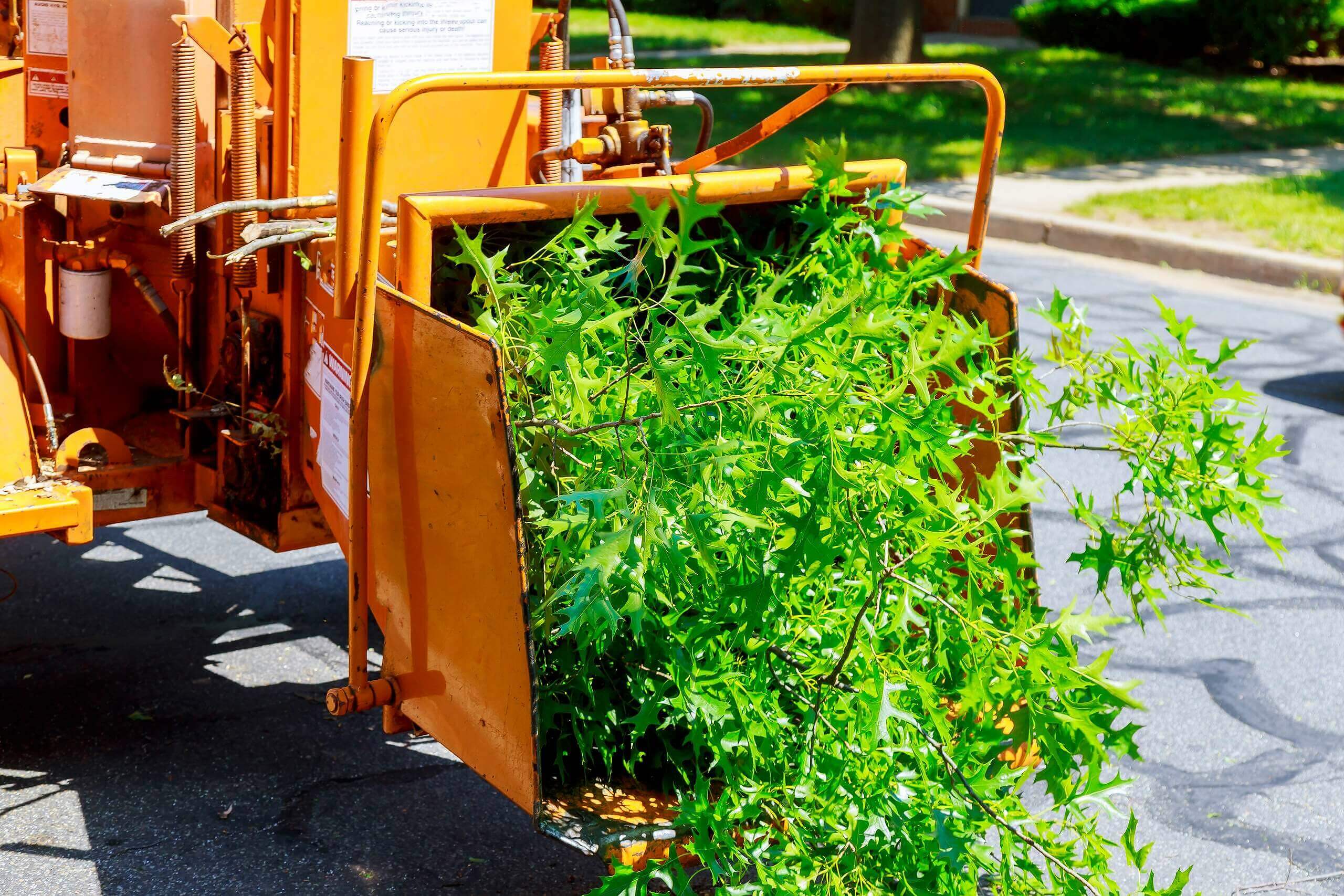 Brush Chipping Steve's Tree Service